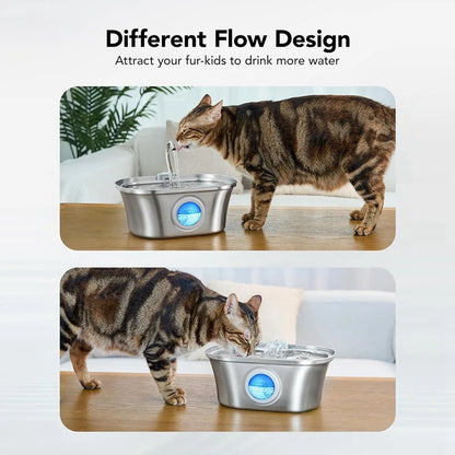 Diseños de caudal disponibles para animar al gato a beber más agua