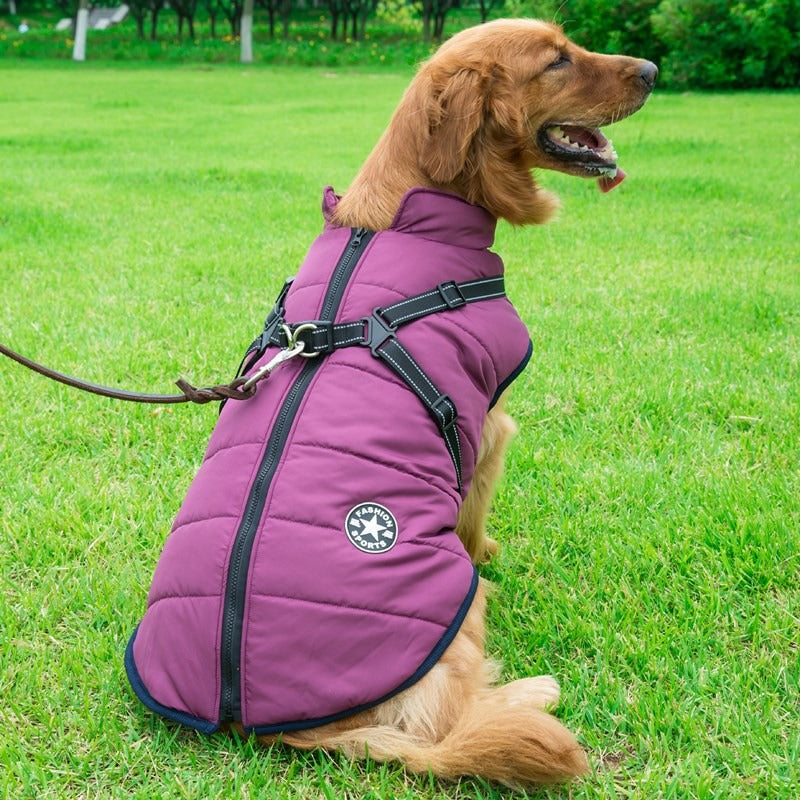 Traje Impermeable Acolchado para Perros Grandes