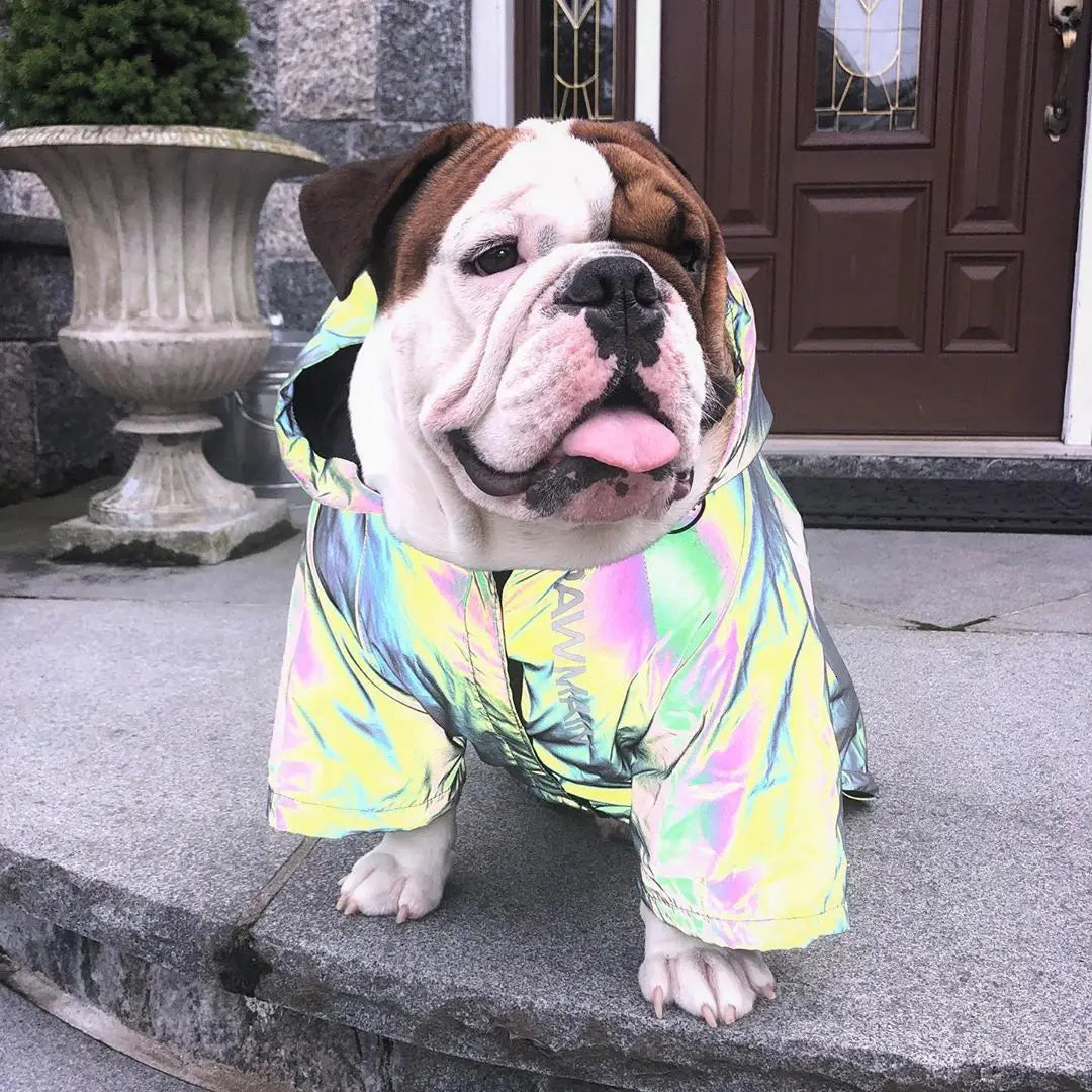 Chaqueta Reflectante con Capucha para Perro