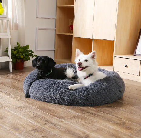 Cama Ortopédica Remanso